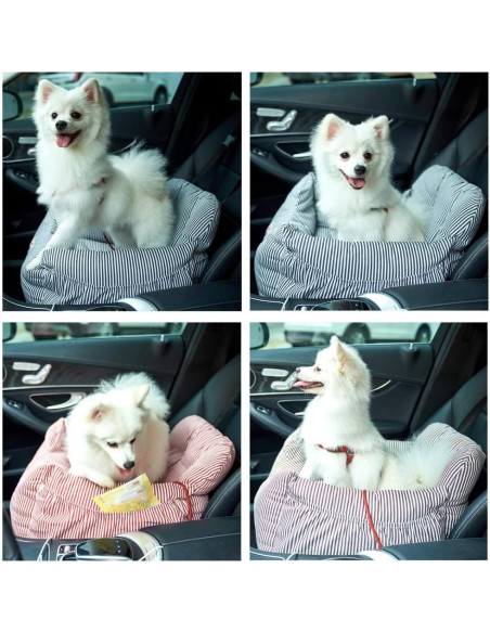 Asiento Elevador para Perros BLOBLO Azul 54.86x49.78 cm