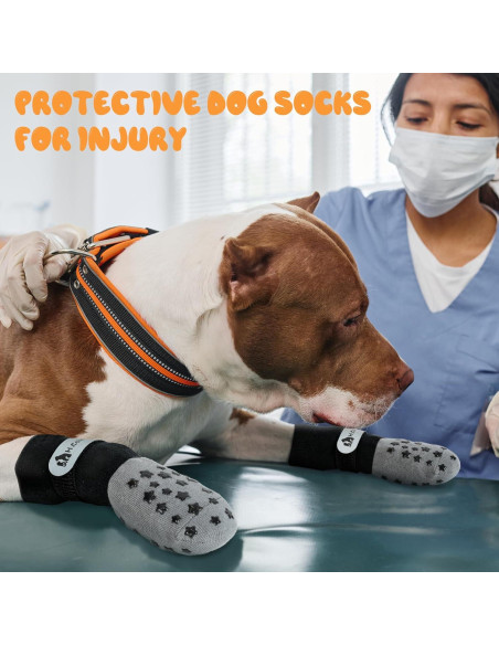 Calcetines Antideslizantes para Perros Homcolorful - Set de 6 M