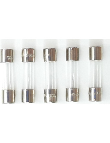 Fusible de Vidrio Bussmann GMA-1A 1A 250V Paquete de 5