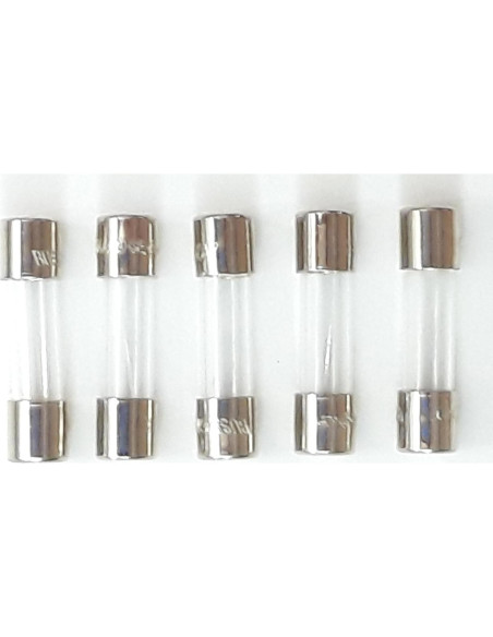 Fusible de Vidrio Bussmann GMA-1A 1A 250V Paquete de 5
