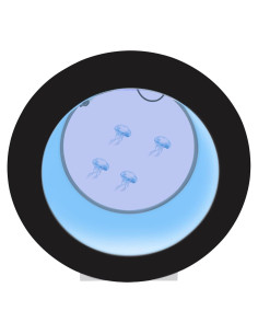 Acuario de Medusas 18L QIUTMER con Control Remoto y Luz LED