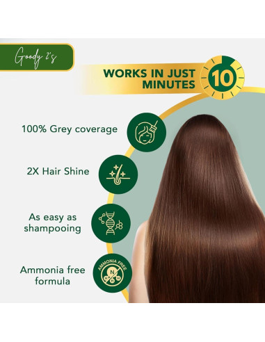 Champú para Teñir Cabello Goody2's 500ml Castaño Claro 10 Minutos