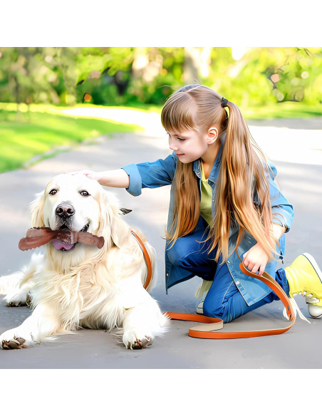 Juguete Indestructible para Perros NTFWG Conejo 17.95cm