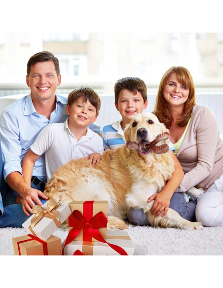 Juguete Indestructible para Perros NTFWG Conejo 17.95cm