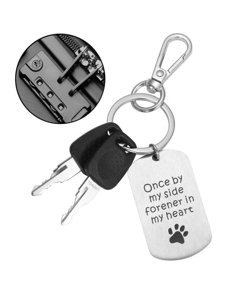 2 Llaves Maestras TSA 007 para Cerraduras de Equipaje Cogguepe