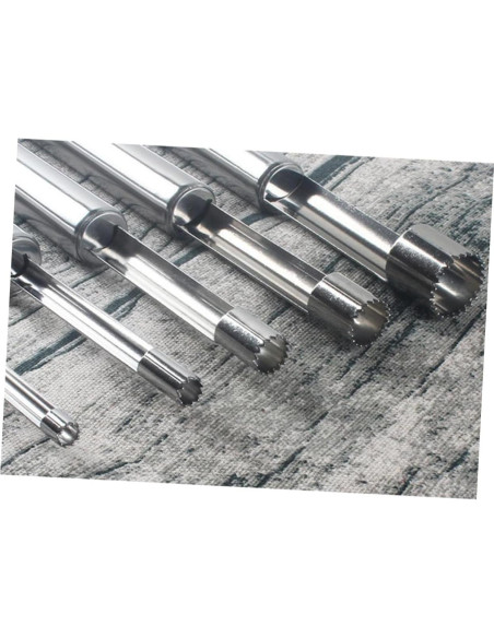 5 Piezas Removedor de Huesos de Fruta Acero Inoxidable ULTECHNOVO