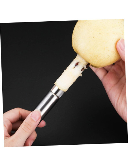 5 Piezas Removedor de Huesos de Fruta Acero Inoxidable ULTECHNOVO