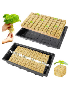 Kit de Cubos de Lana de Roca 1" HolyMaji - 140 Tapones y 2 Bandejas