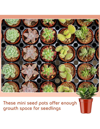 200 Macetas de Plástico KesaPlan 5.08 cm con Drenaje