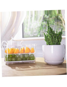 Caja de Almacenamiento Sellada Ciieeo 23.3x12.2cm Plástico 2