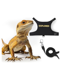 Correa y Arnés Ajustable POLKASTORE para Dragón Barbudo 1.52m