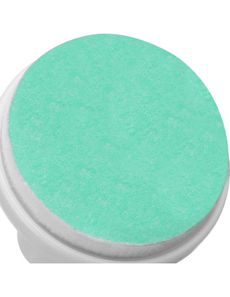 Almohadillas de Lima de Uñas Angoily 24 Pcs para Bebés Verde