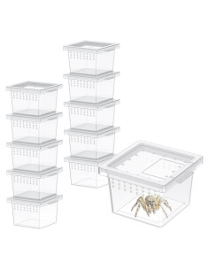 Terrario Mini Pawfly 10 Pcs para Arañas y Reptiles 5.8cm