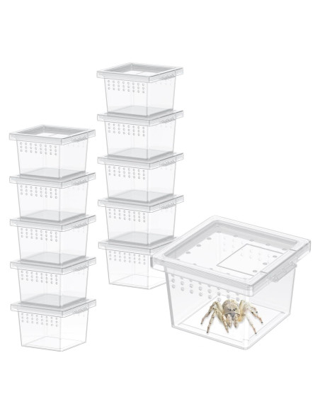 Terrario Mini Pawfly 10 Pcs para Arañas y Reptiles 5.8cm