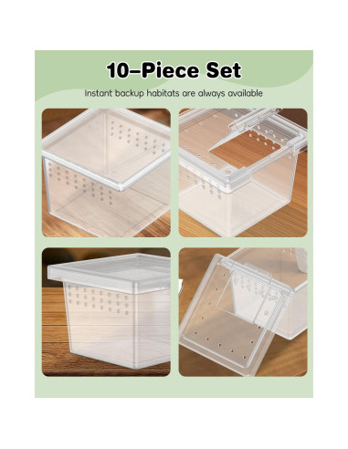 Terrario Mini Pawfly 10 Pcs para Arañas y Reptiles 5.8cm