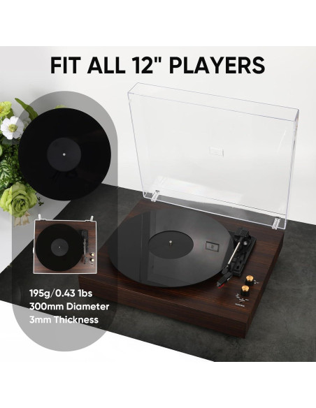 Alfombrilla de Turntable Acrílico 12 Pulgadas Antiestática Negra