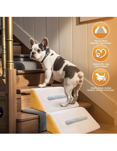 Rampa para Perros DAORDAER 39.6x25.4cm Antideslizante 2