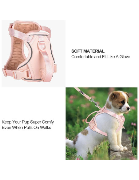 Arnés Chaleco para Perros Pequeños Petmolico Rosa Reflectante