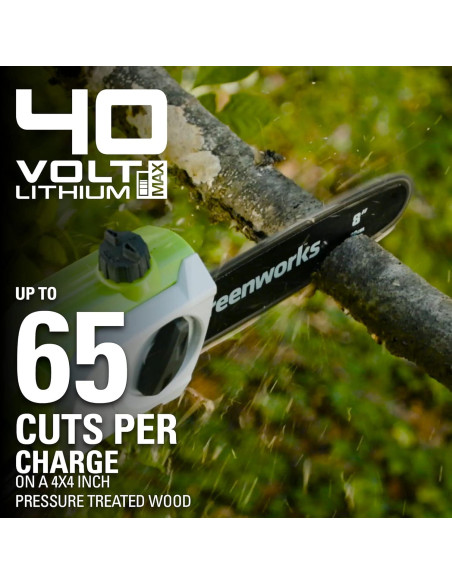 Sierra de Poste Greenworks 40V 8" Batería 2.0Ah Incluida