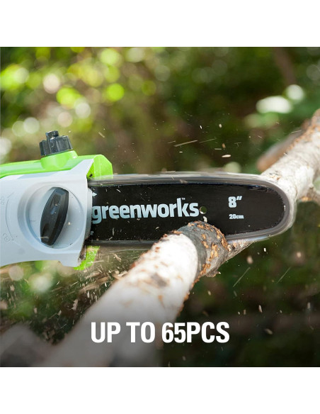 Sierra de Poste Greenworks 40V 8" Batería 2.0Ah Incluida