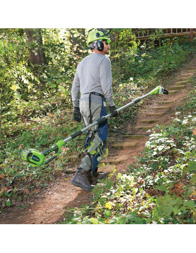 Sierra de Poste Greenworks 40V 8" Batería 2.0Ah Incluida