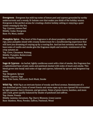 Vela Ecológica de Cera de Soja Sallas 4oz y 9oz Aromas Variados