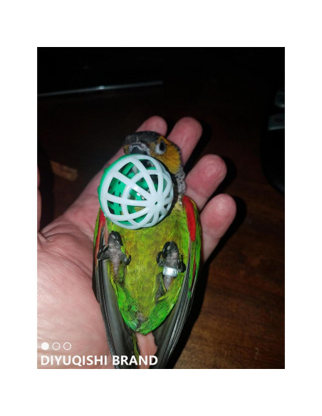 Set de Juguetes para Aves DIYUQISHI - 23 Piezas Diversión Segura