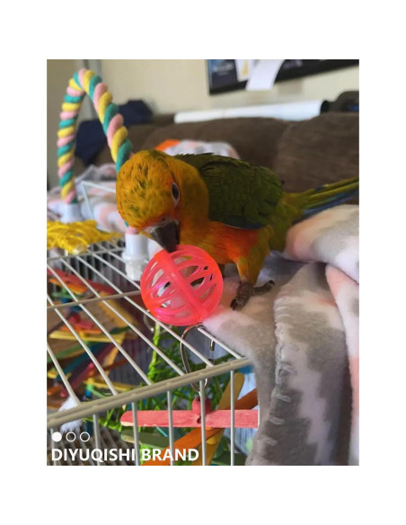 Set de Juguetes para Aves DIYUQISHI - 23 Piezas Diversión Segura