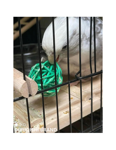 Set de Juguetes para Aves DIYUQISHI - 23 Piezas Diversión Segura