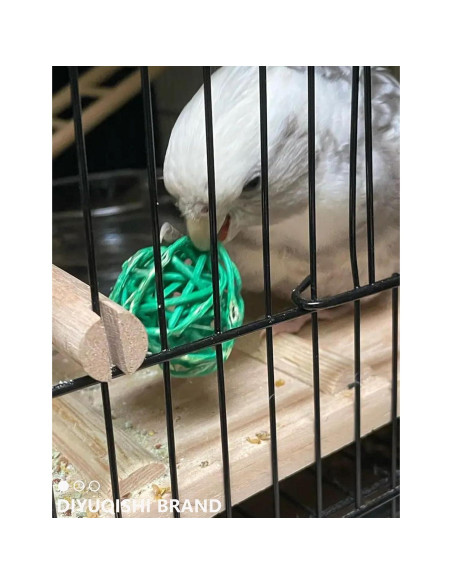 Set de Juguetes para Aves DIYUQISHI - 23 Piezas Diversión Segura