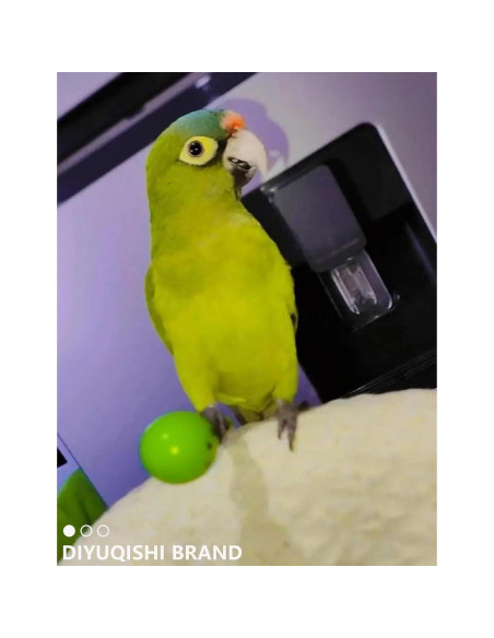 Set de Juguetes para Aves DIYUQISHI - 23 Piezas Diversión Segura