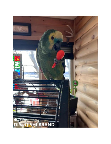 Set de Juguetes para Aves DIYUQISHI - 23 Piezas Diversión Segura