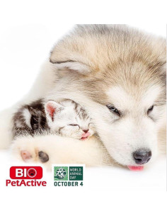 Spray Brillo de Pelaje Bio Pet Active 96.8 ml para Gatos y Perros 2