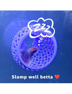 Escondite Bulbo Betta 2.0 CTWPets Verde 7.1 cm para Acuario 2