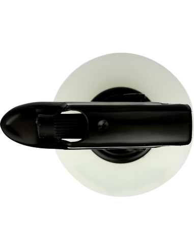 Acondicionador Sin Enjuague 365 Whole Foods 236 ml Coco