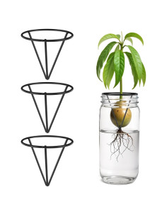 Kit de Crecimiento de Árbol de Aguacate Tyqour - 3 Piezas Soporte Metálico