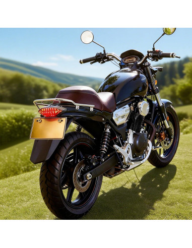 Luz Trasera LED Anki HappiGo 12V 16 LEDs para Motocicleta