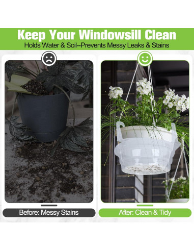 Plato de Goteo Miuwauer 20 Unidades 20 cm Redondo Transparente