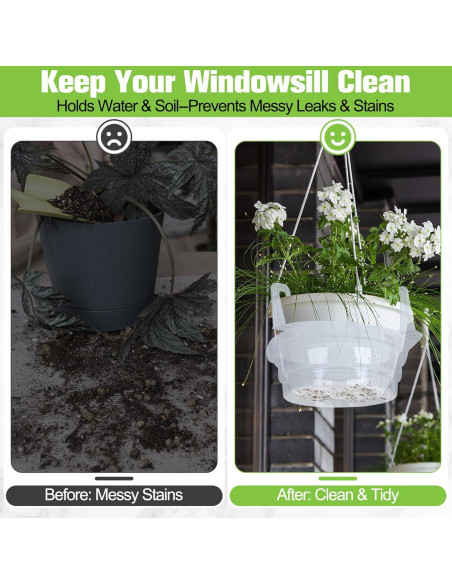 Plato de Goteo Miuwauer 20 Unidades 20 cm Redondo Transparente