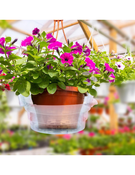 Plato de Goteo Miuwauer 20 Unidades 20 cm Redondo Transparente