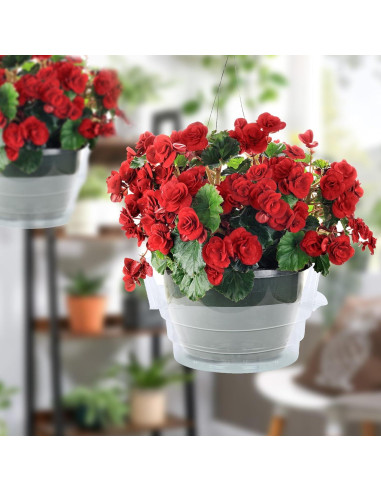 Plato de Goteo Miuwauer 20 Unidades 20 cm Redondo Transparente