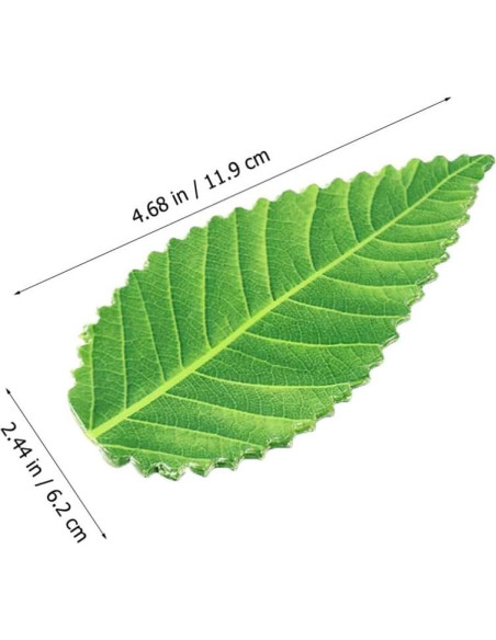 Hojas Decorativas para Sushi Kichvoe - 200 Piezas Verde