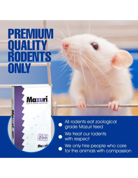 10 Ratas Destetadas Congeladas MiceDirect para Reptiles 8.9-11.4 cm