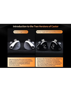 Auriculares KZ Castor con Cable 2DD HiFi Ajustables Plata 2