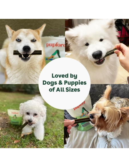 Pupford Dental Chews para Perros 10.16 cm - 14 Unidades