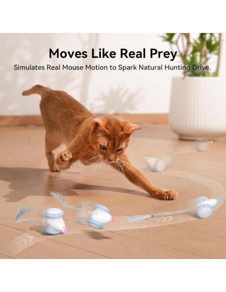 Juguete Interactivo para Gatos Cheerble CWJ03 Azul