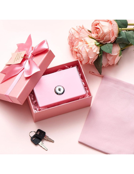 Caja de Dinero de Metal CroBlissful Rosa con Llave 11x7x3.5cm