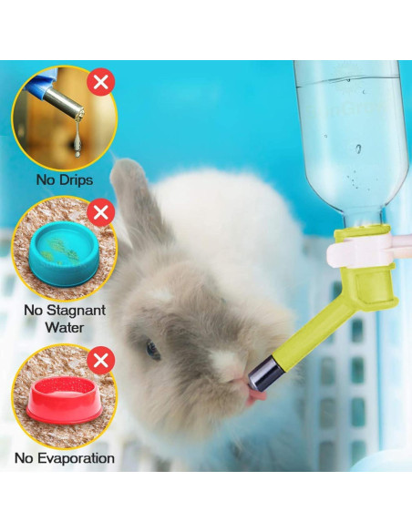 Botella de Agua para Mascotas SunGrow 296 ml Sin Goteo