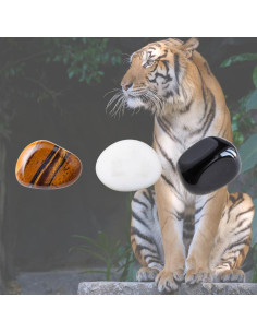 Juego de Horquillas de Cristal IMEL Studio Tiger Nudes 2