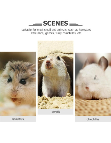 Rueda de Ejercicio Silenciosa POPETPOP para Hámster 18cm